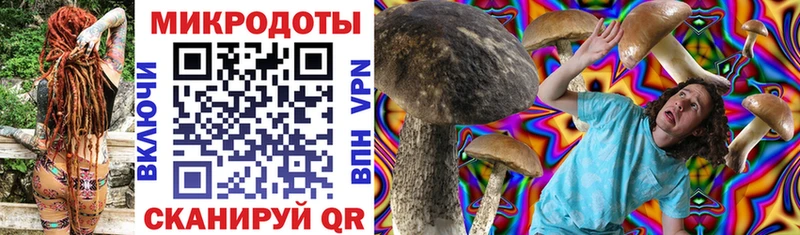 Галлюциногенные грибы Psilocybe  где можно купить   Сосенский 